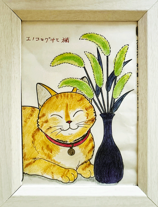 エノコログサと猫